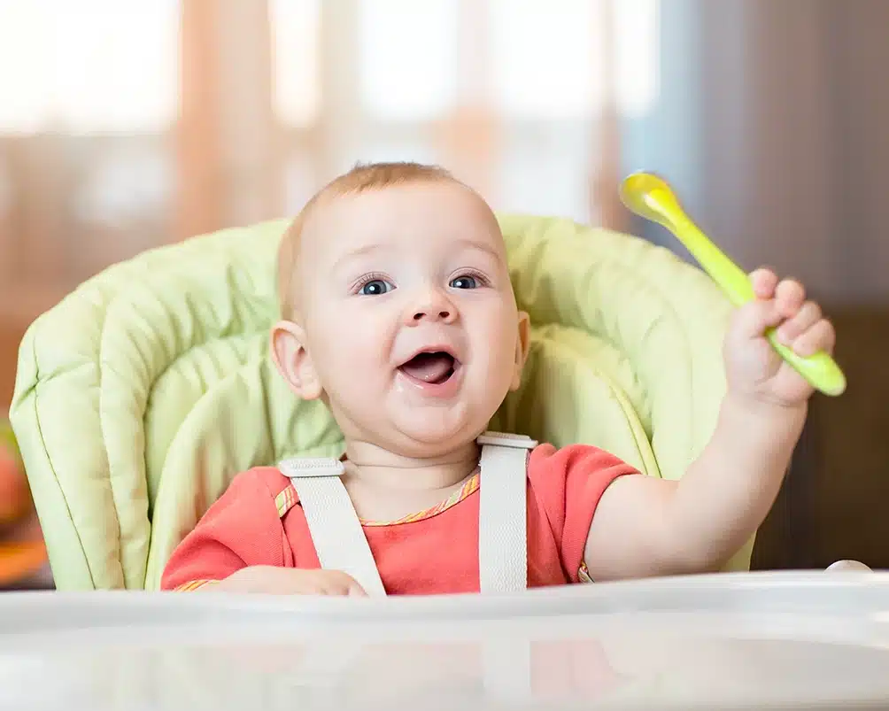 baby chair rental