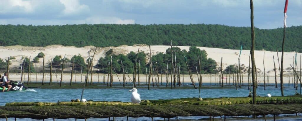 zoologique d’Arcachon