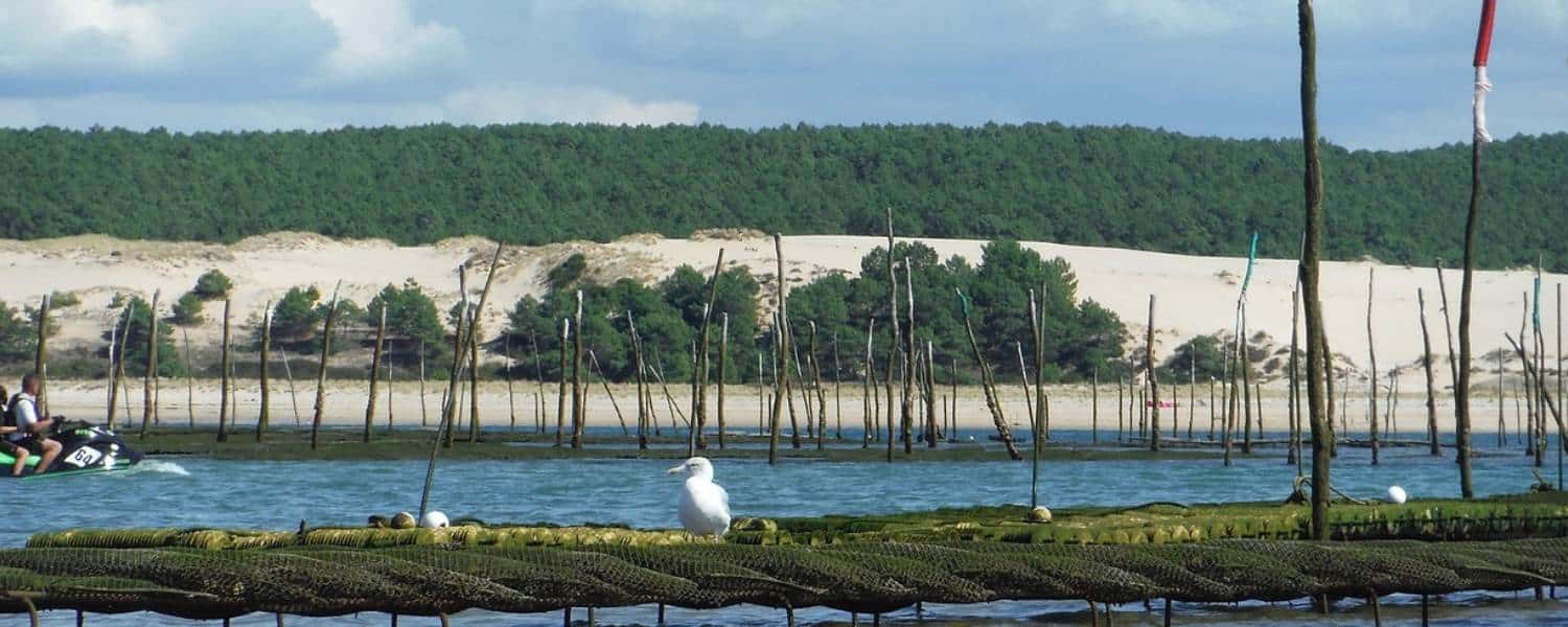 zoologique d’Arcachon