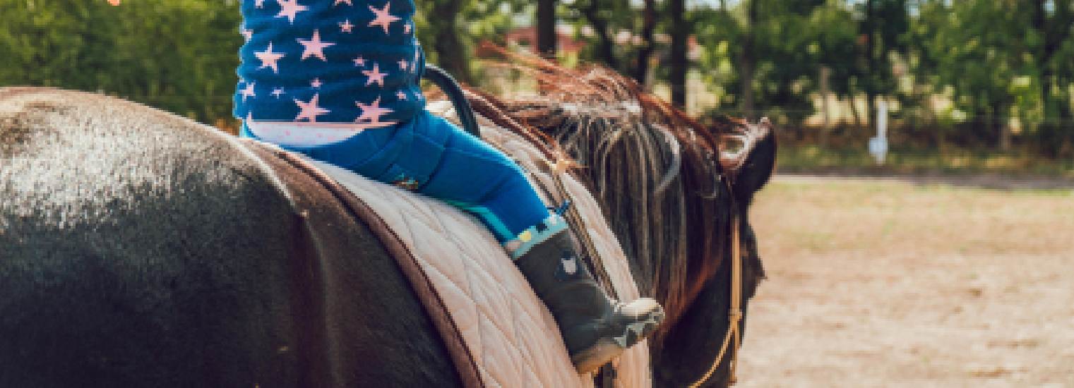 balade en cheval