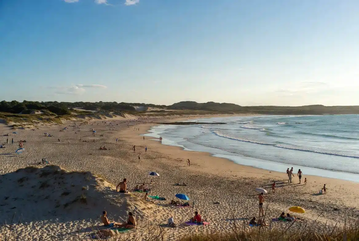 Famille profitant de plage calme